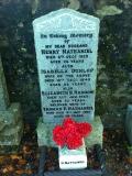 image of grave number 306263